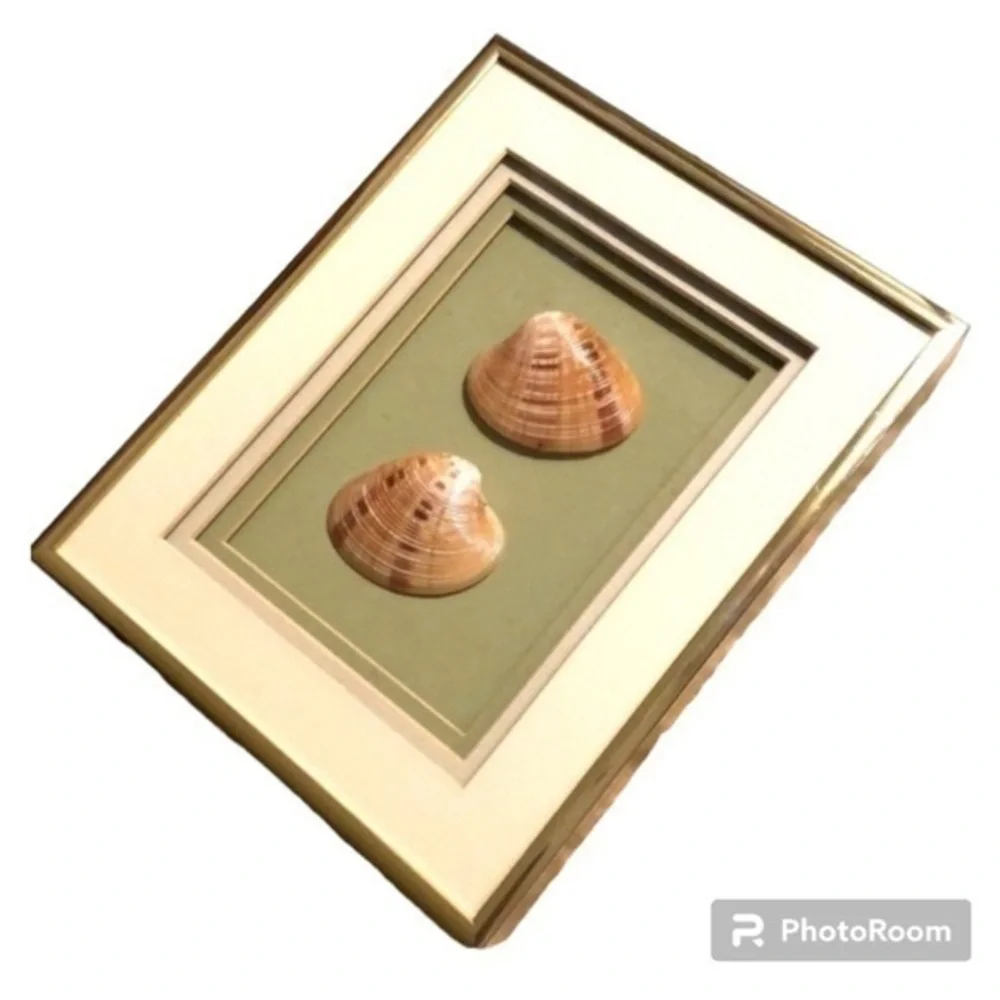Vintage 1980s 1990s SEASHELL ART | Gold Frame 8”x10”